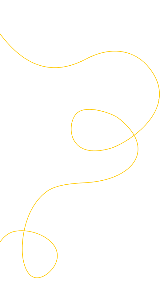 /images/how/v1.png